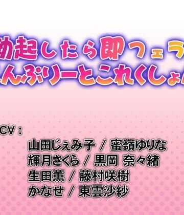 WiSH×音声付き❤勃起したら即フェラ！こんぷりーとこれくしょん評価