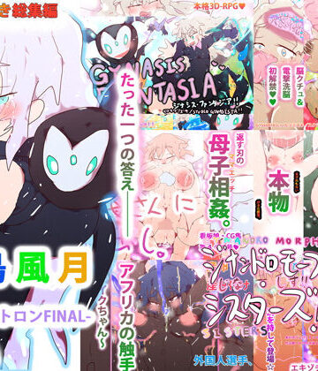 ヒロカワミズキ（スタジオ・ジナシスタ！！）×ファンタジー❤【購入特典付き・総集編】花鳥風月-ジナシストロンFINAL-評価