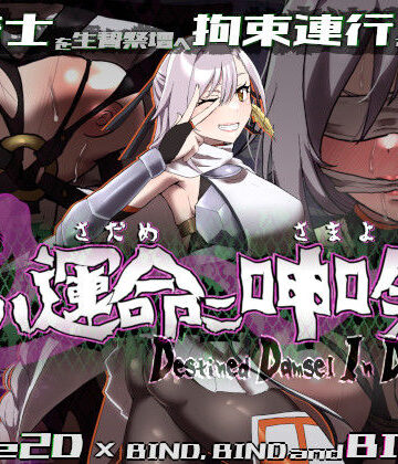 エーギグ・エーレ・ファウンデーション×動画・アニメーション❤姫ハ運命ニ呻吟ヘリ Destined Damsel In Distress評価3.00