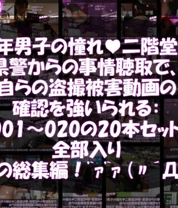 Libido-Labo×3DCG❤【△500●500】学業成績学年一位の二階堂沙耶・県警からの事情聴取で、自らの盗撮被害動画の確認を強いられる:Vol.R001-020までのシリーズ20本セット全部入り総集編！評価